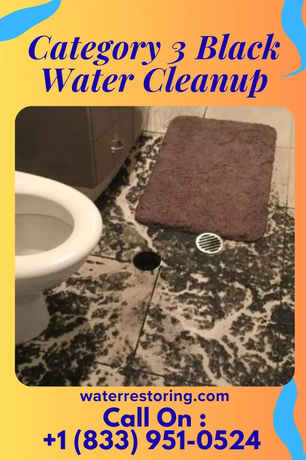 Category 3 Black Water Cleanup in North Middletown, NJ