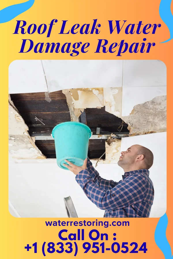 Roof Leak Water Damage Repair in North Middletown, NJ